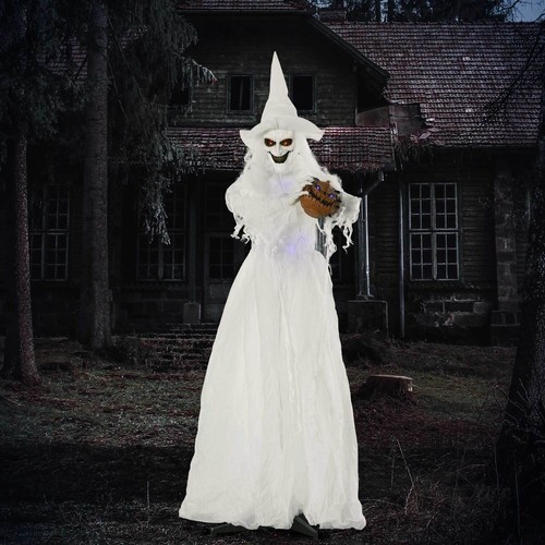 Animated halloween witch - animated,