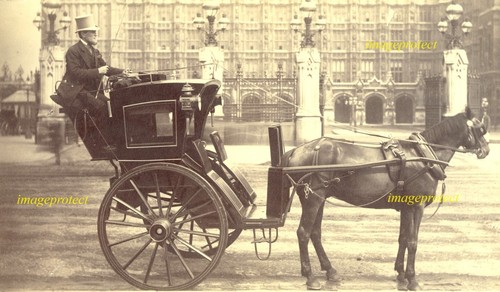 Hansom cab driver horse in - driver,, horse,