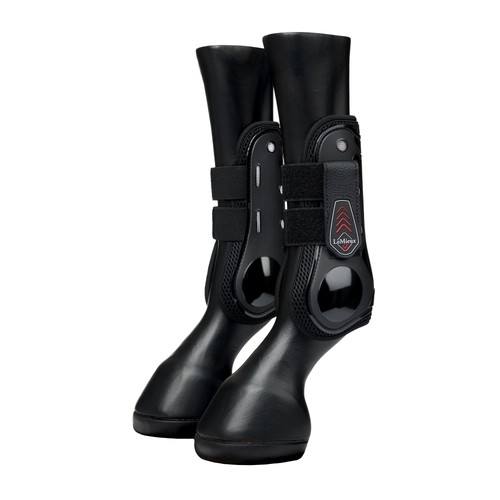 Lemieux derby projump - projump, tendon