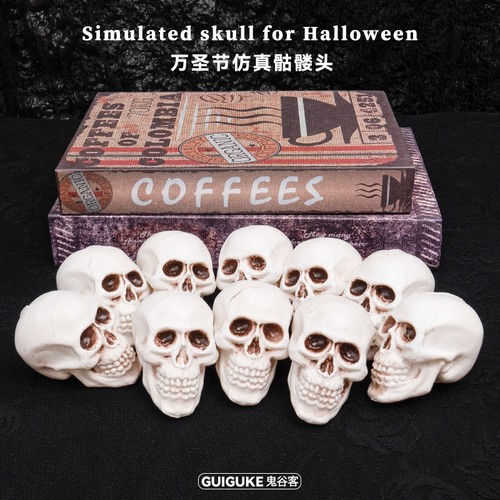 10x human skull head skeleton - skull,