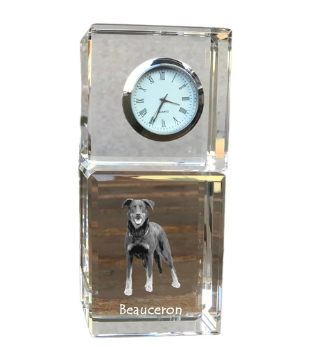 Berger beauce beauceron - berger,