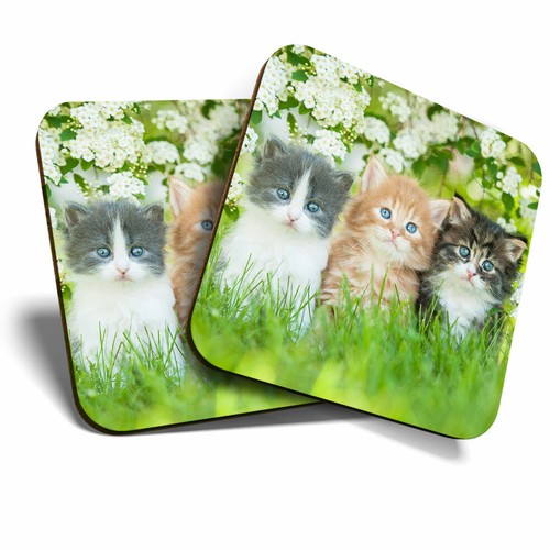 Coasters gorgeous - coasters,