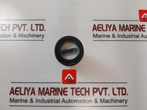 Dav ntc automatic semaphore - dav,