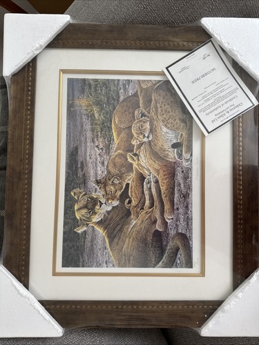 Stephen gayford signed ltd - stephen,