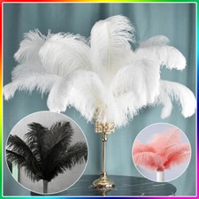 1-100x Large Ostrich Feathers