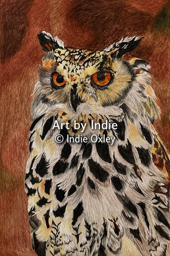 Eagle owl print - eagle,