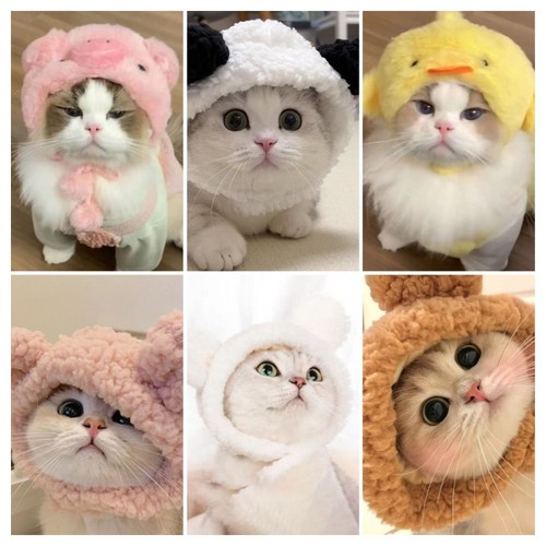 Woven cat cap panda bear - cat, head