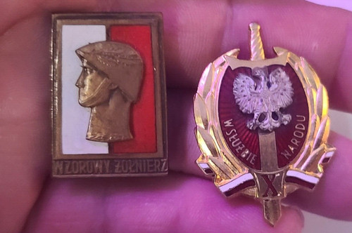 Polish badges excellent - badges,