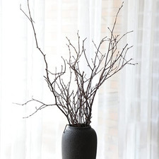 SOUJOY 100 PCS Birch Twigs for