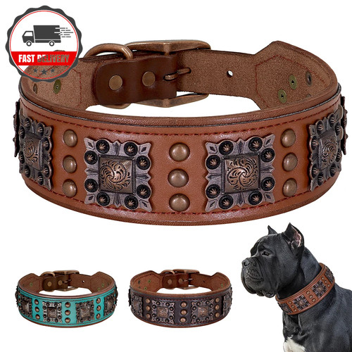 Wide luxury leather - leather, studded