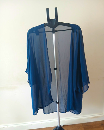 Women blue sheer - blue,