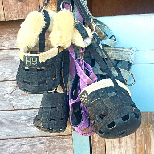 Bundle mixed horse - of,