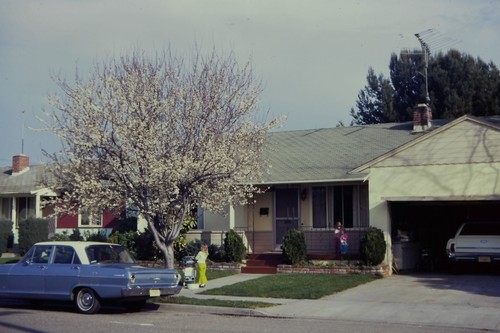 C1960 35mm slide - slide, film