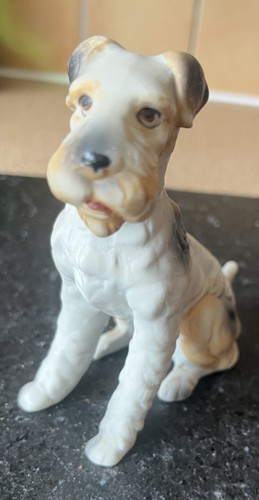 Wire fox terrier dog - fox,