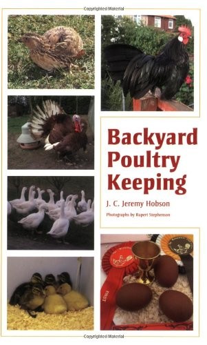Backyard poultry keeping - poultry,