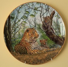 Royal Solution ‘Big Cats And