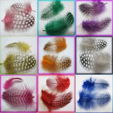 Speckled Guinea Fowl Feathers Chicken Fly Craft Hat Arts Decorations Wedding UK