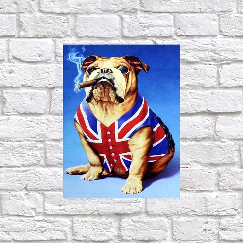 English bulldog retro tin - bulldog,,