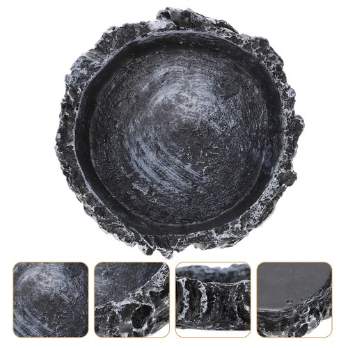 Gecko feeding bowl - feeding, reptile