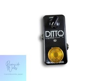 TC ELECTRONIC DITTO LOOPER
