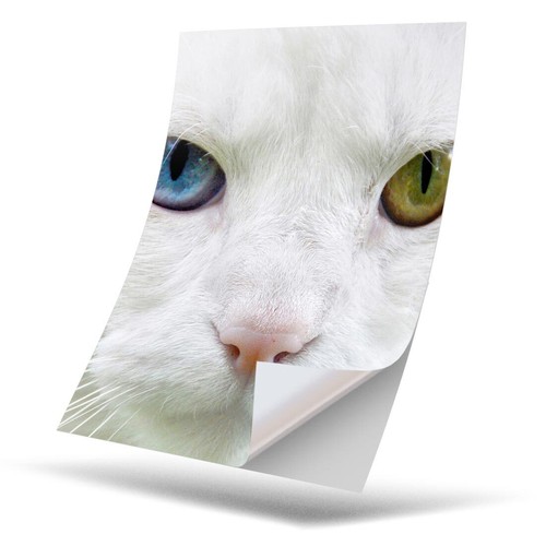 Vinyl sticker - 1,