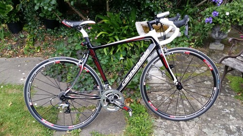 Cannondale synapse carbon disc - cannondale,
