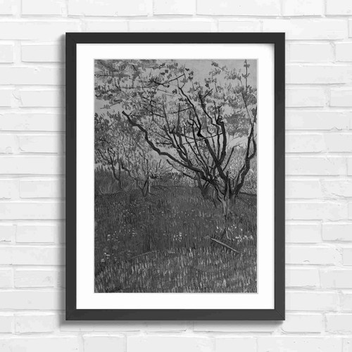 Blooming orchard trees spring - orchard,