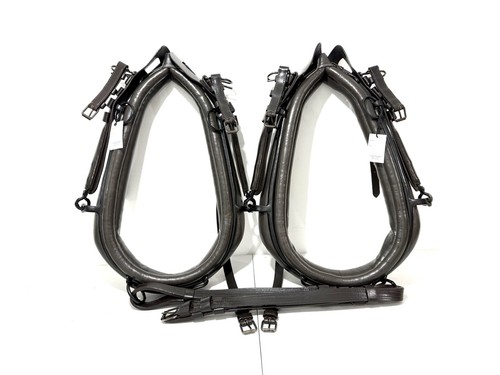 Horse driving harness pair - horse,