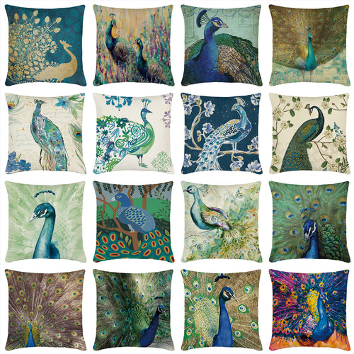 Elegant peacock flaunt tail - peacock,