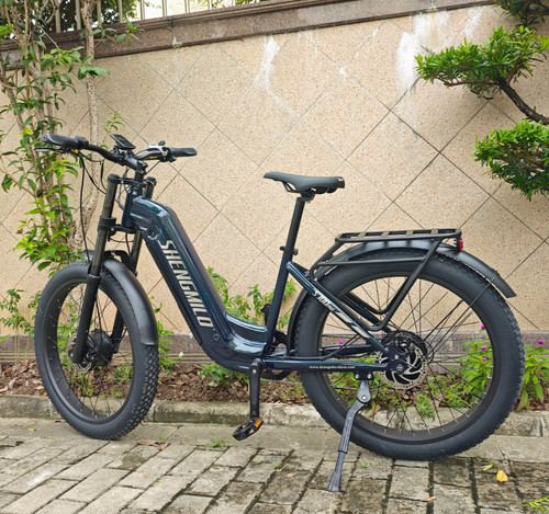 Dual motor electric fat tyre - electric,