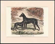 MANCHESTER AND ENGLISH TOY