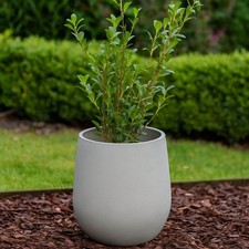 Large Cement Effect Pot