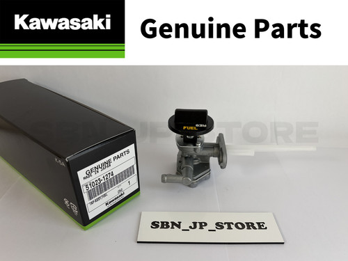 Kawasaki genuine zxr250 - genuine,