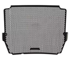 Triumph Street Triple 765 R &