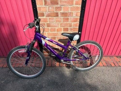 Apollo envy mountain bike - bike,