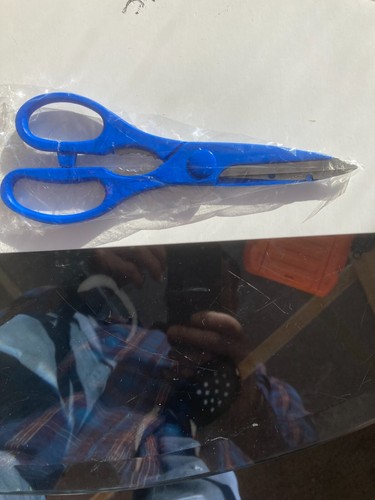 Catalogue kitchen scissors - kitchen,