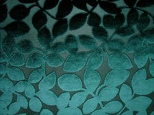 Peacock Signature Plush Velvet