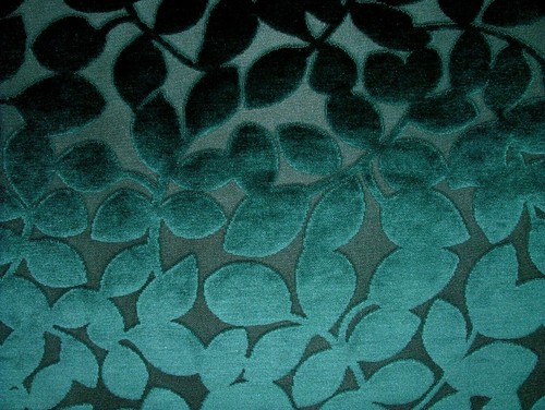 Peacock signature plush velvet - plush,