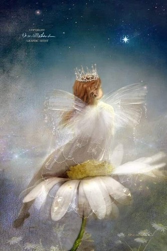 Flower fairy picture wall art - fairy,