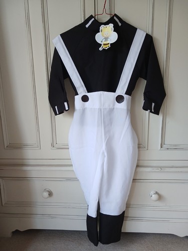 Childs fancy dress costume - childs, dress/costume