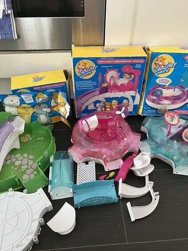 Zhu pets hamster - zhu,