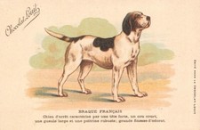 Old postcard - French Braque