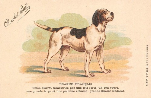 Old postcard french - old,