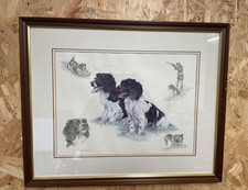 Nigel Hemming Springer Spaniel