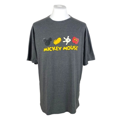 Disneyland shirt grey xxl - disneyland, t