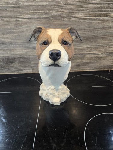 Staffordshire bull terrier - staffordshire,