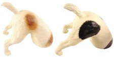 One digger dog jack russell - digger,