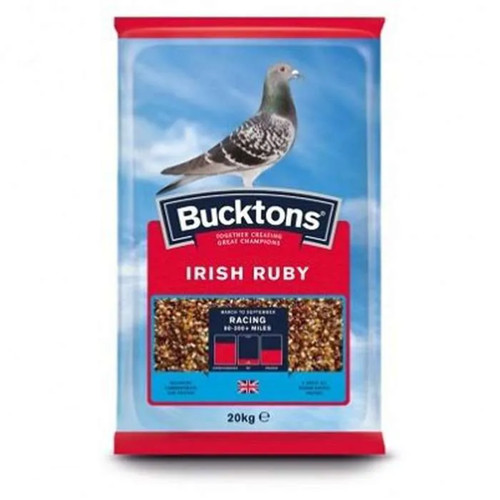Pigeon food seed bucktons - pigeon,