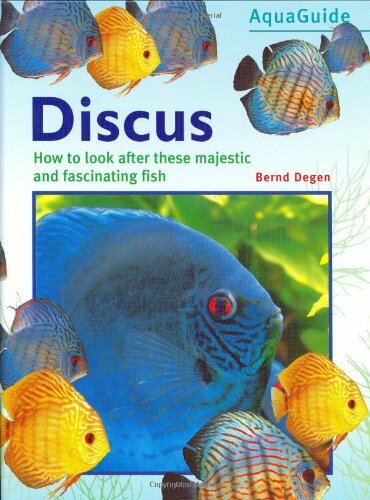 Discus bernd degen - (aquaguide)-bernd,