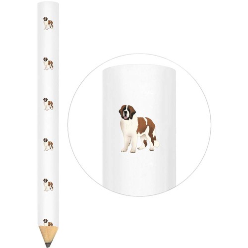 Bernard dog standing - x,